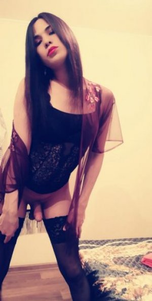 Escort trans Андина 